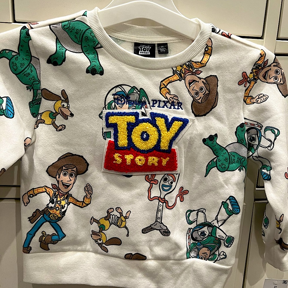 Toy story toddler boy sweater 2T